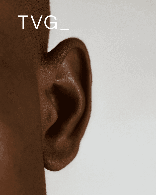 press-tvg